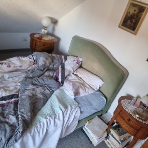 Brocki Räumungen: Hausräumungen, Wohnungsäumung und Messie Räumung
